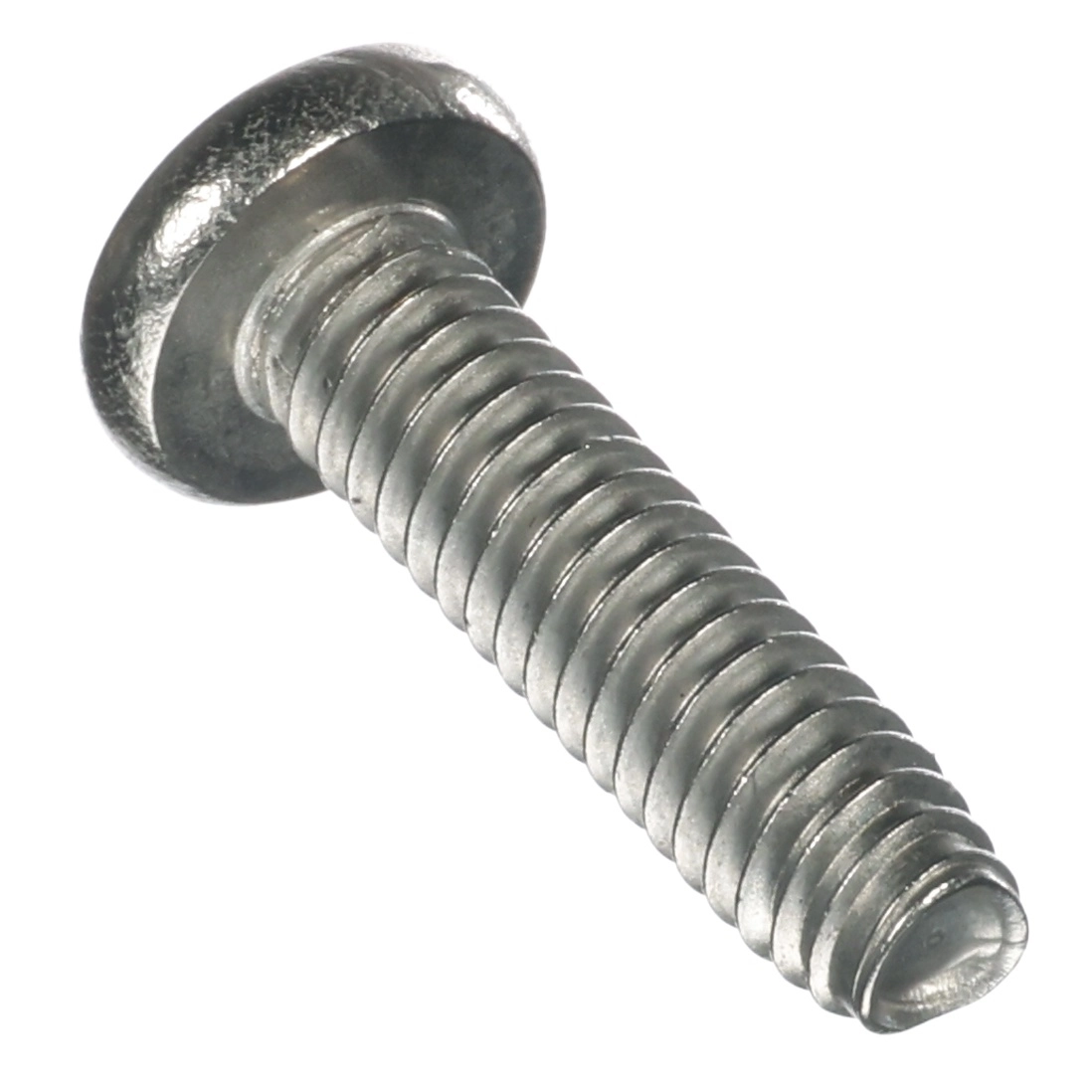 Screw Self-Tapping Ss 1/4-20 X