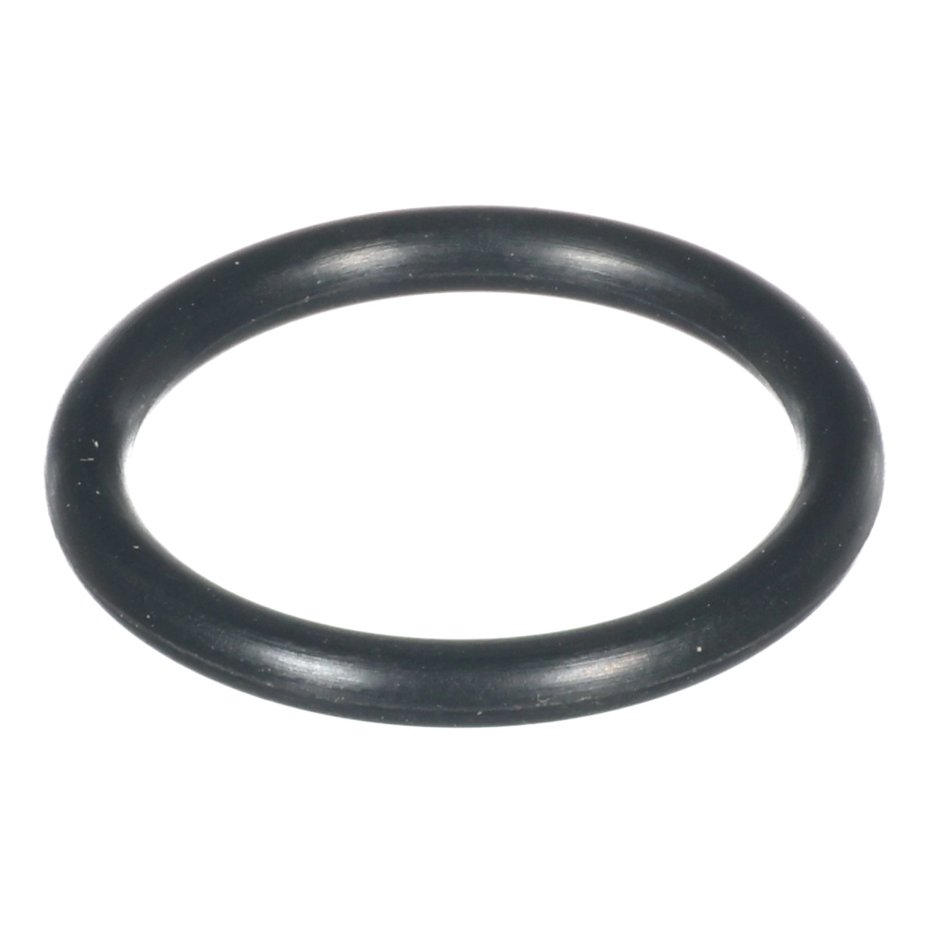 O-Ring  568-910 90-450-06-PP