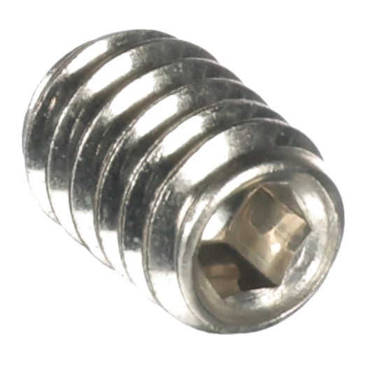 Set Screw Sckt Ss 1/4-20X