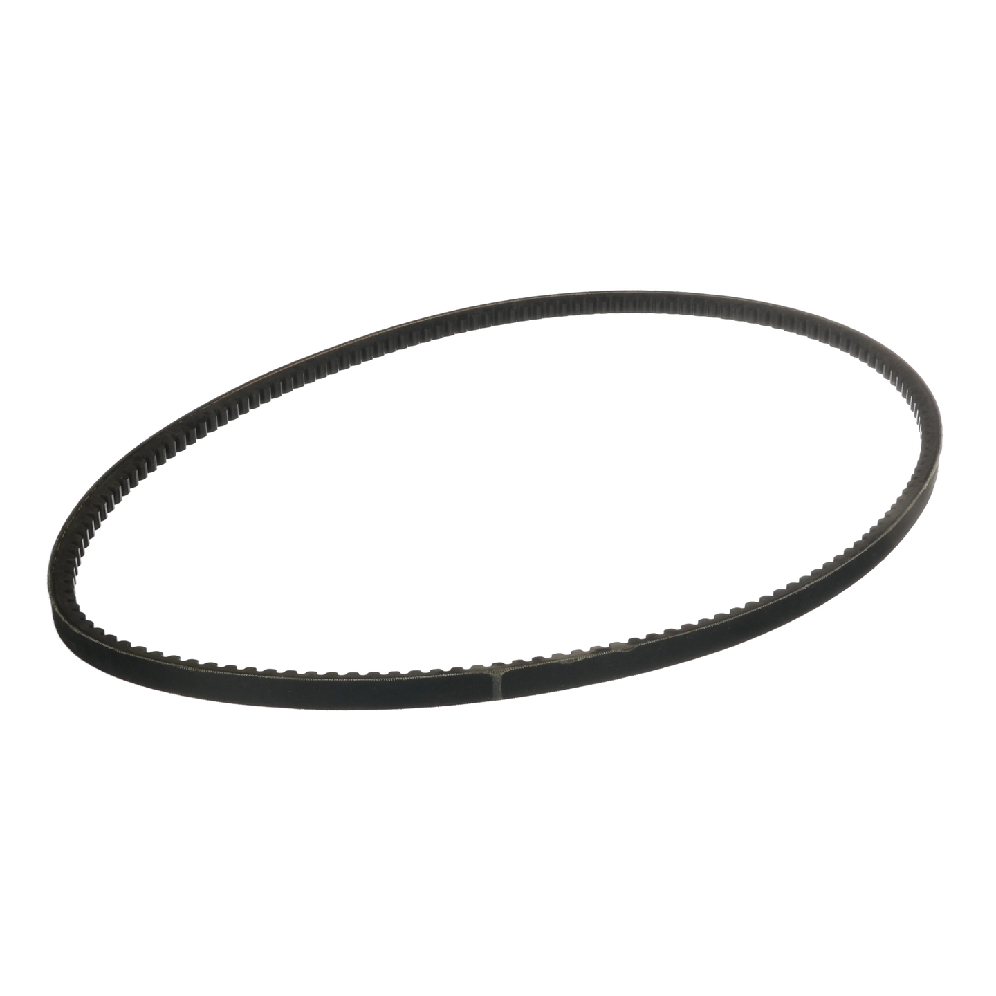 V Belt