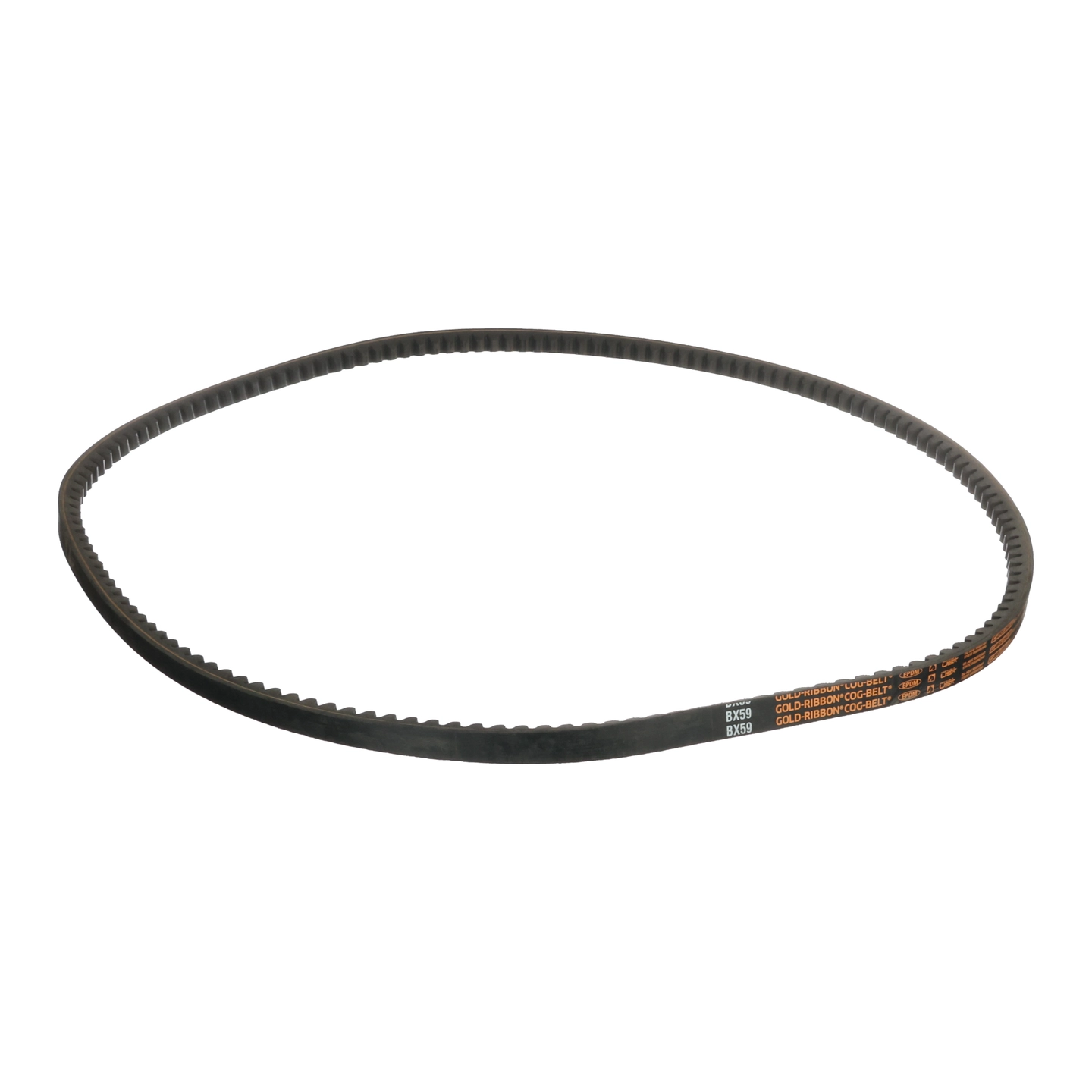 360 Plus Belt 06020045