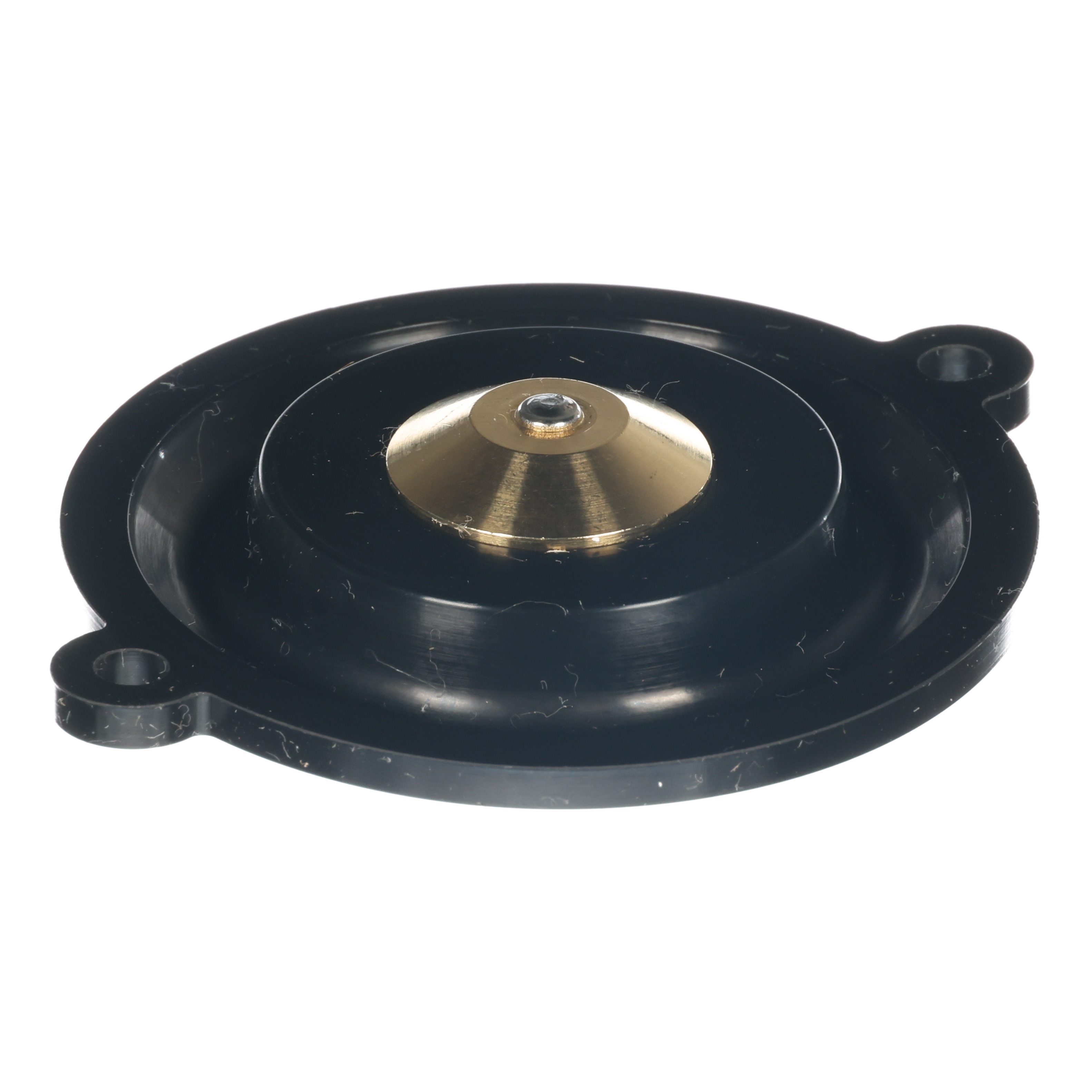 VALVE DIAPHRAGM