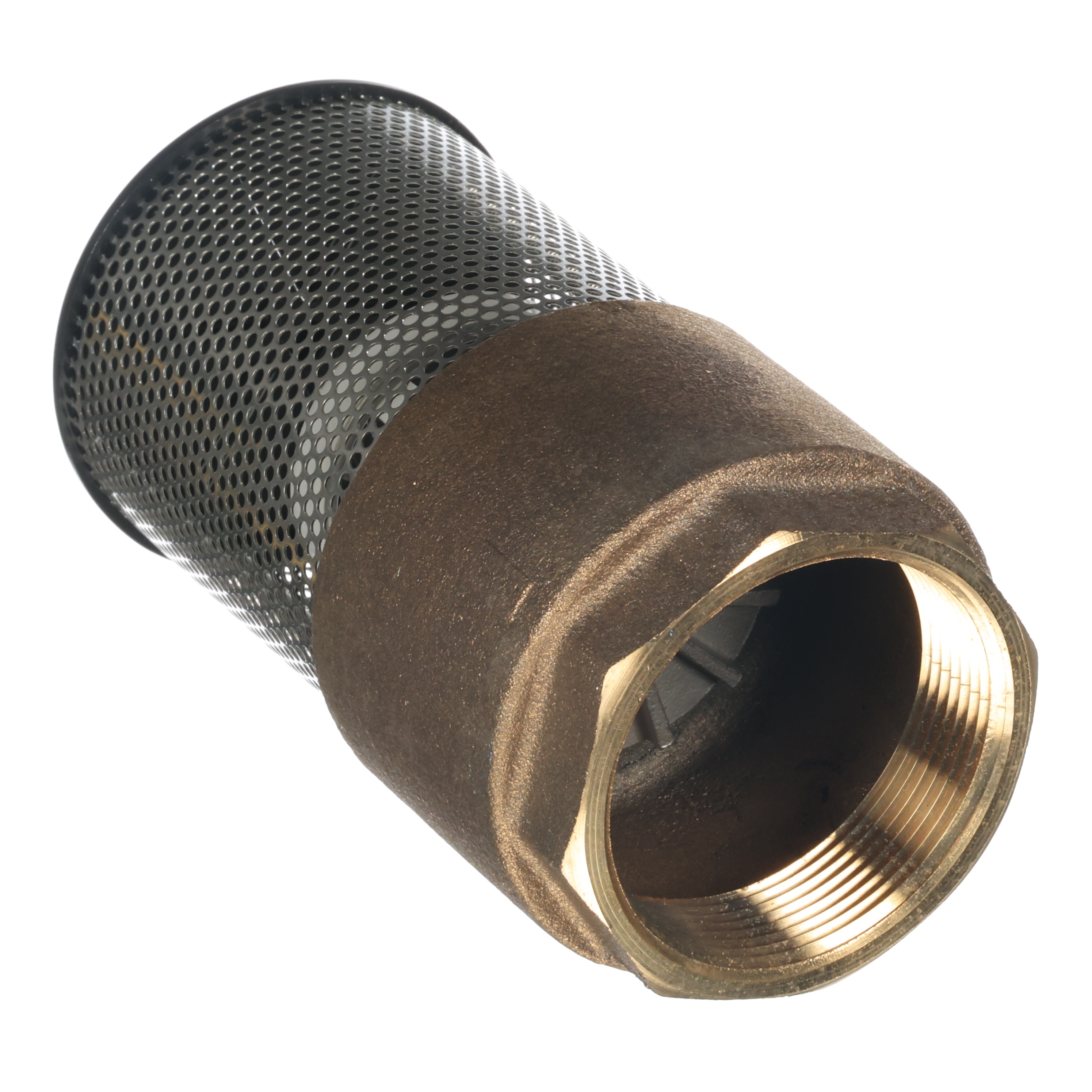 VALVE/FOOT,POPPET,2" FPT