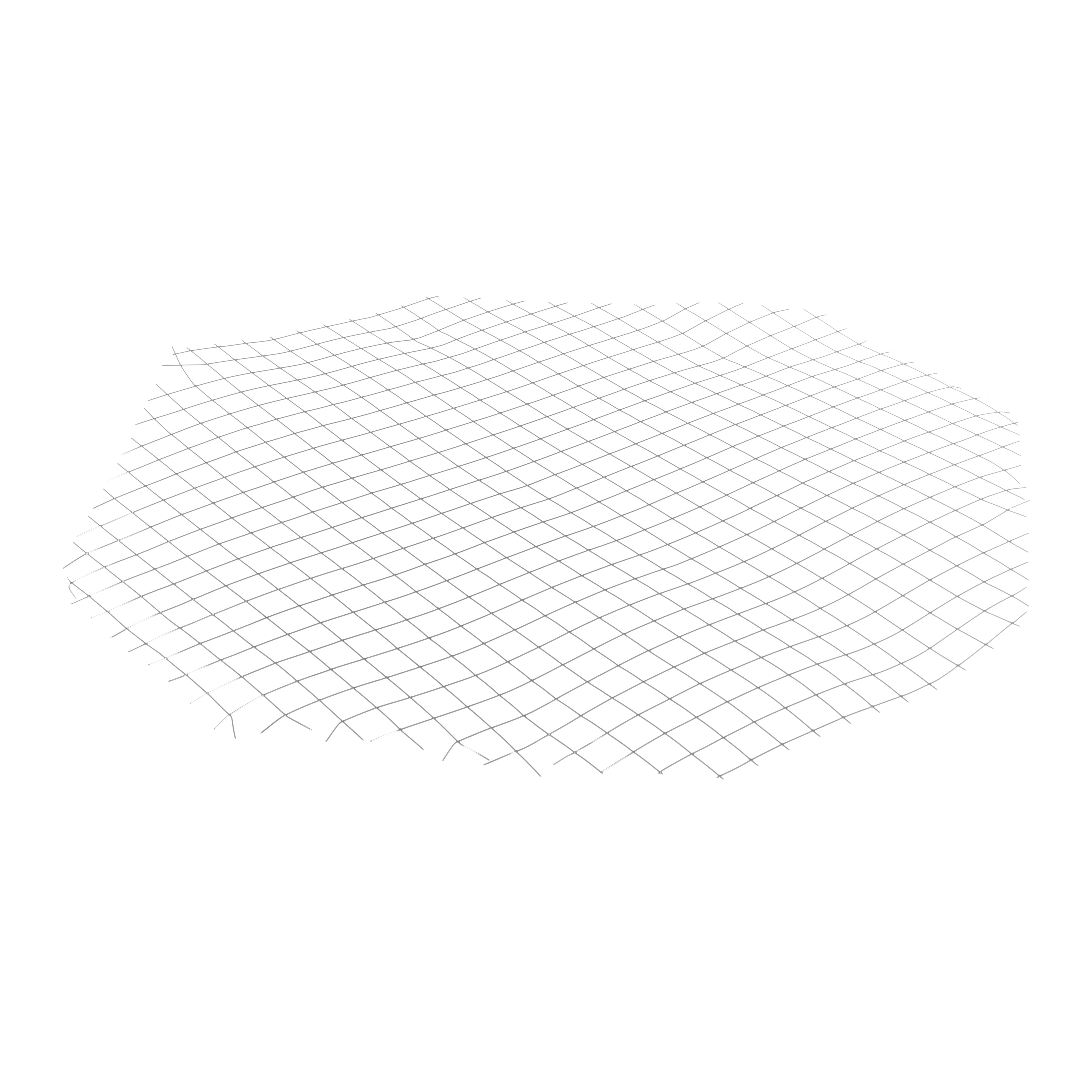 Wire Mesh/304Ss,1/2",13X13
