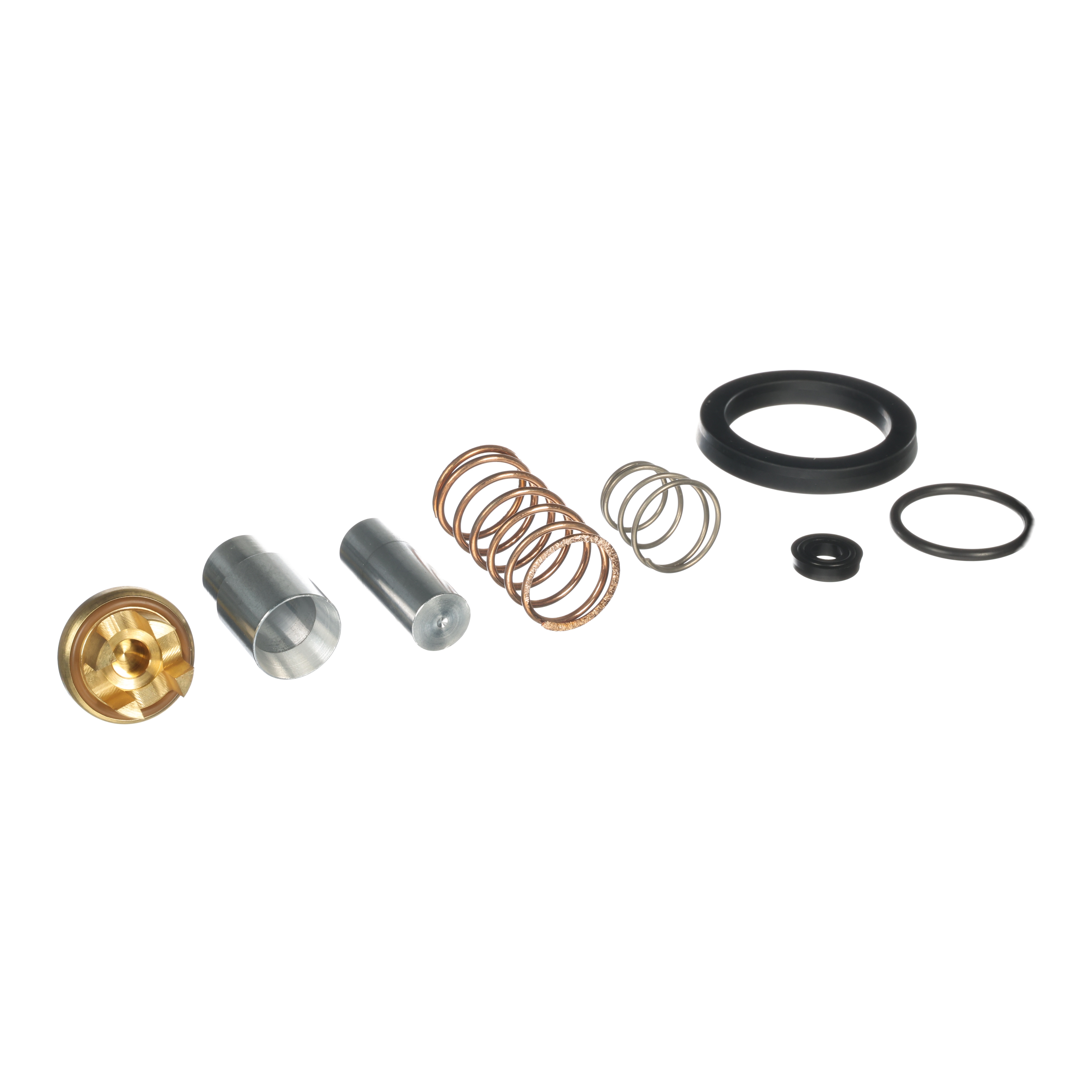 Repair Kit – Poppet – 1"