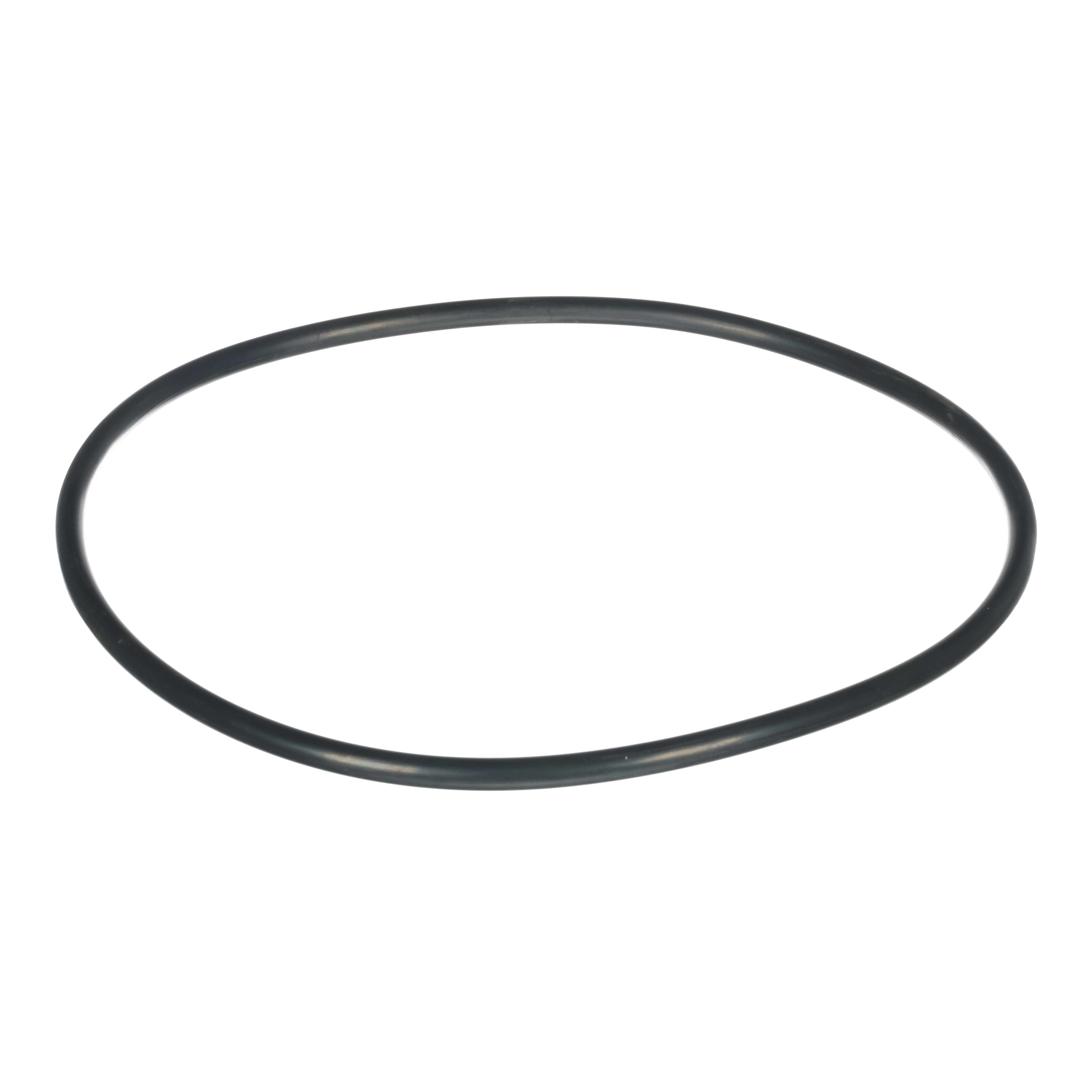 LARGE O-RING FOR PKG-98 (U9-171)