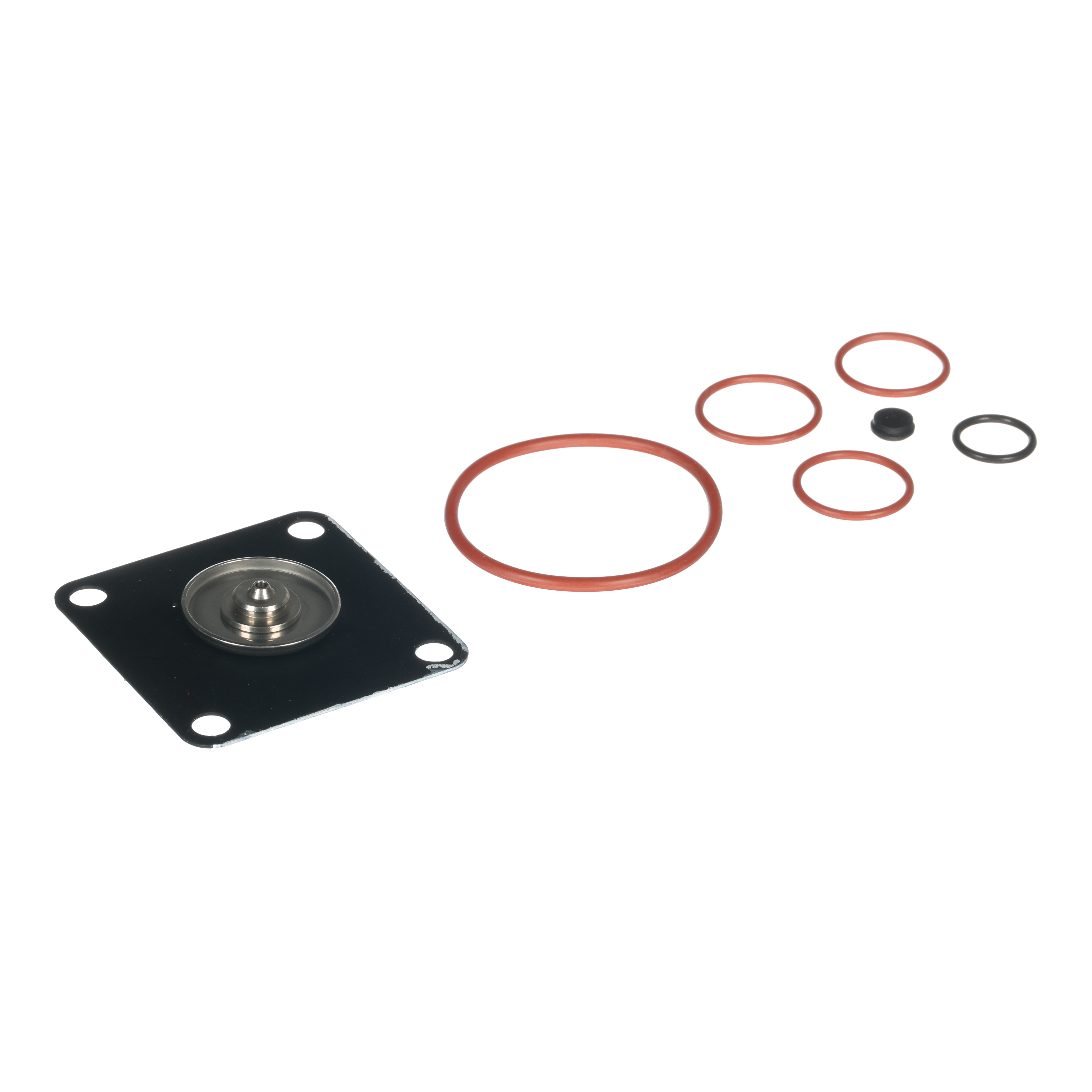 REPAIR KIT/O-RINGS & DIAPHRAGM