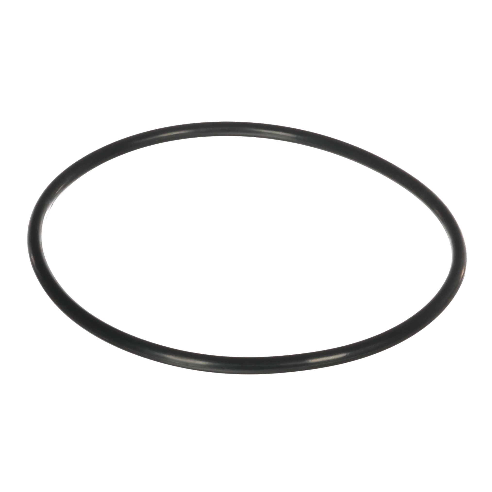 O-Ring/5 Mic Filter FH44-ORING