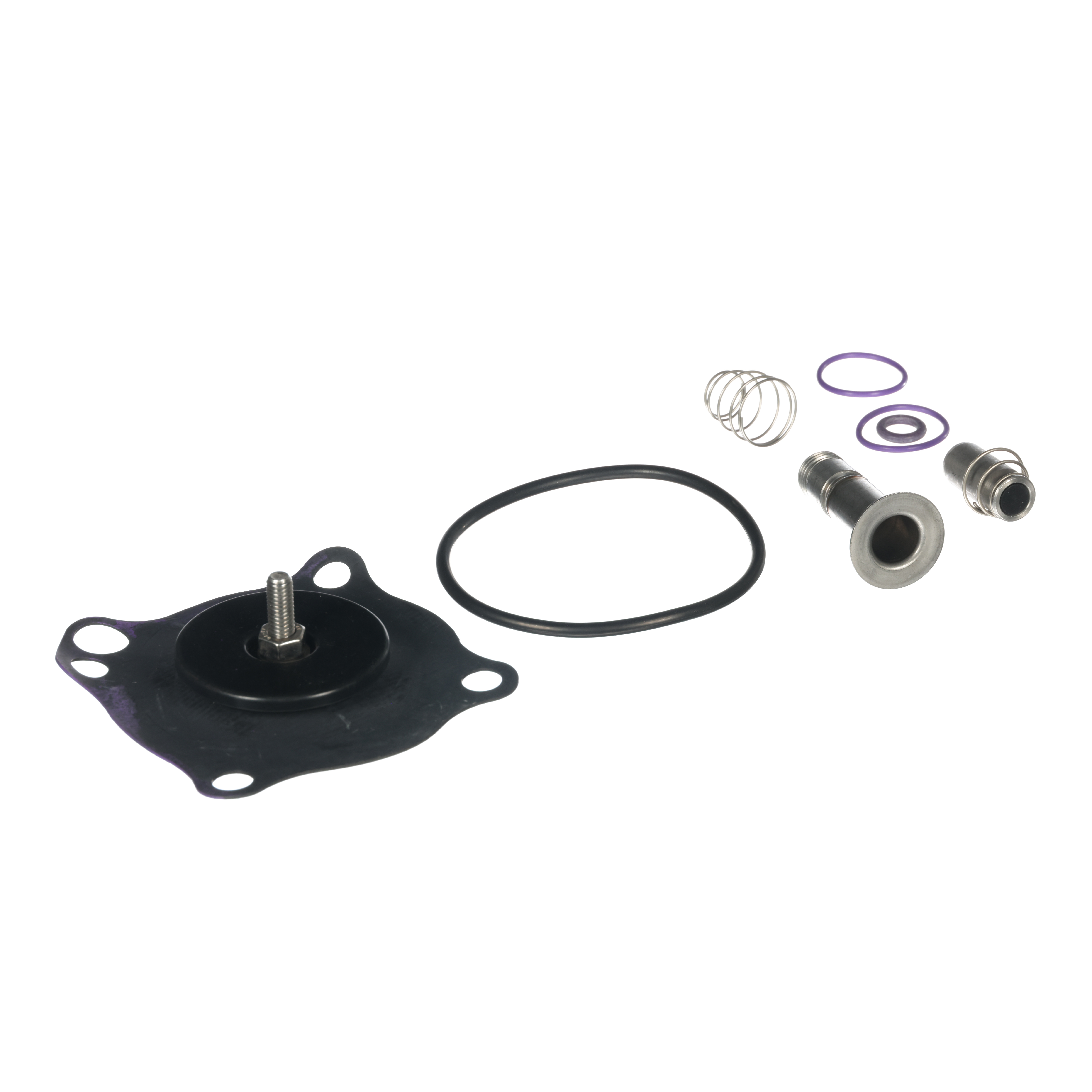 Rebuild Kit For Inlet & Flush KS211AF02N5EG5