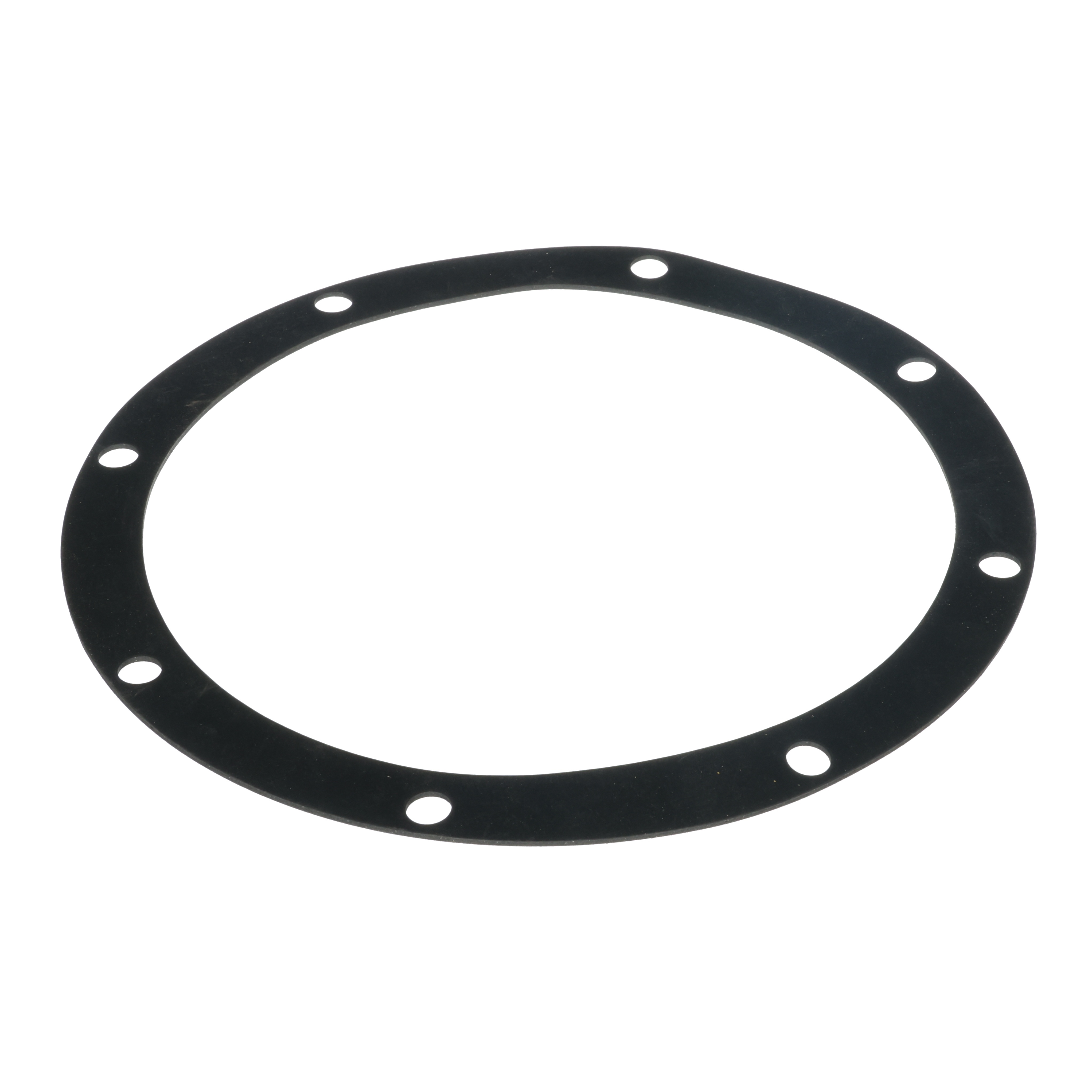 Volute Gasket for D Series Sta-Rite Pump (C20-46N)