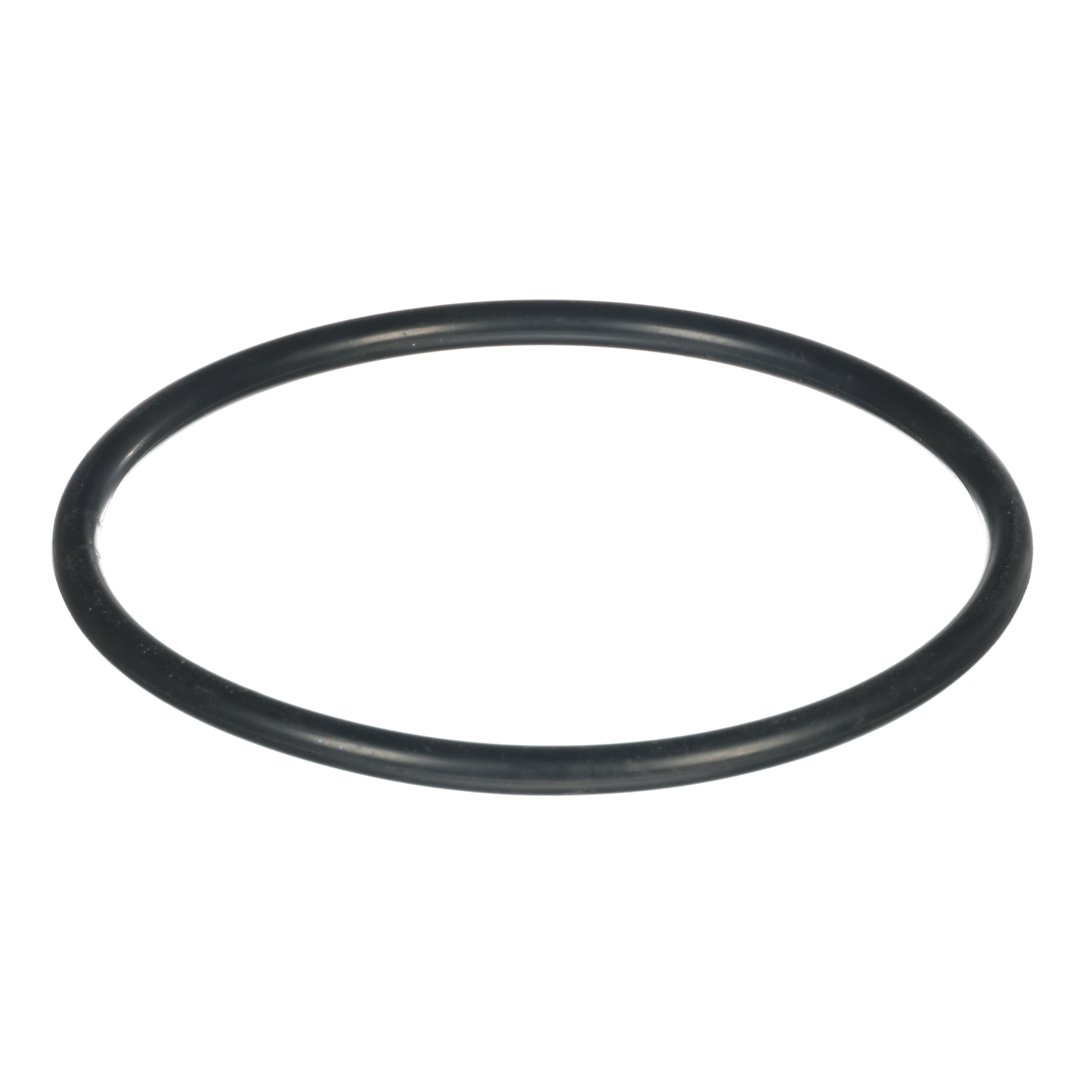 ADVANTECH 4" O-RING (40071)