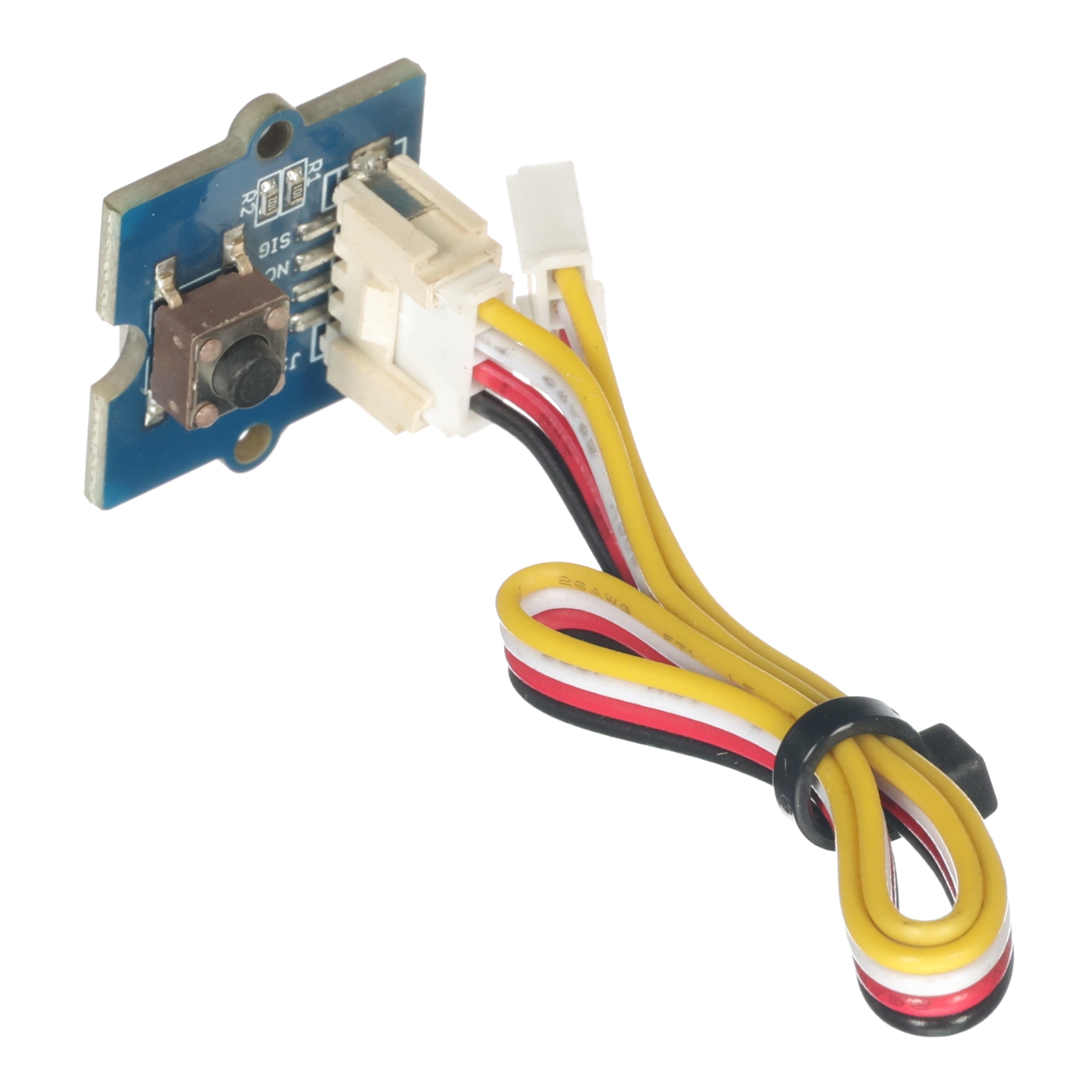 AP/AS Setup Button Assembly