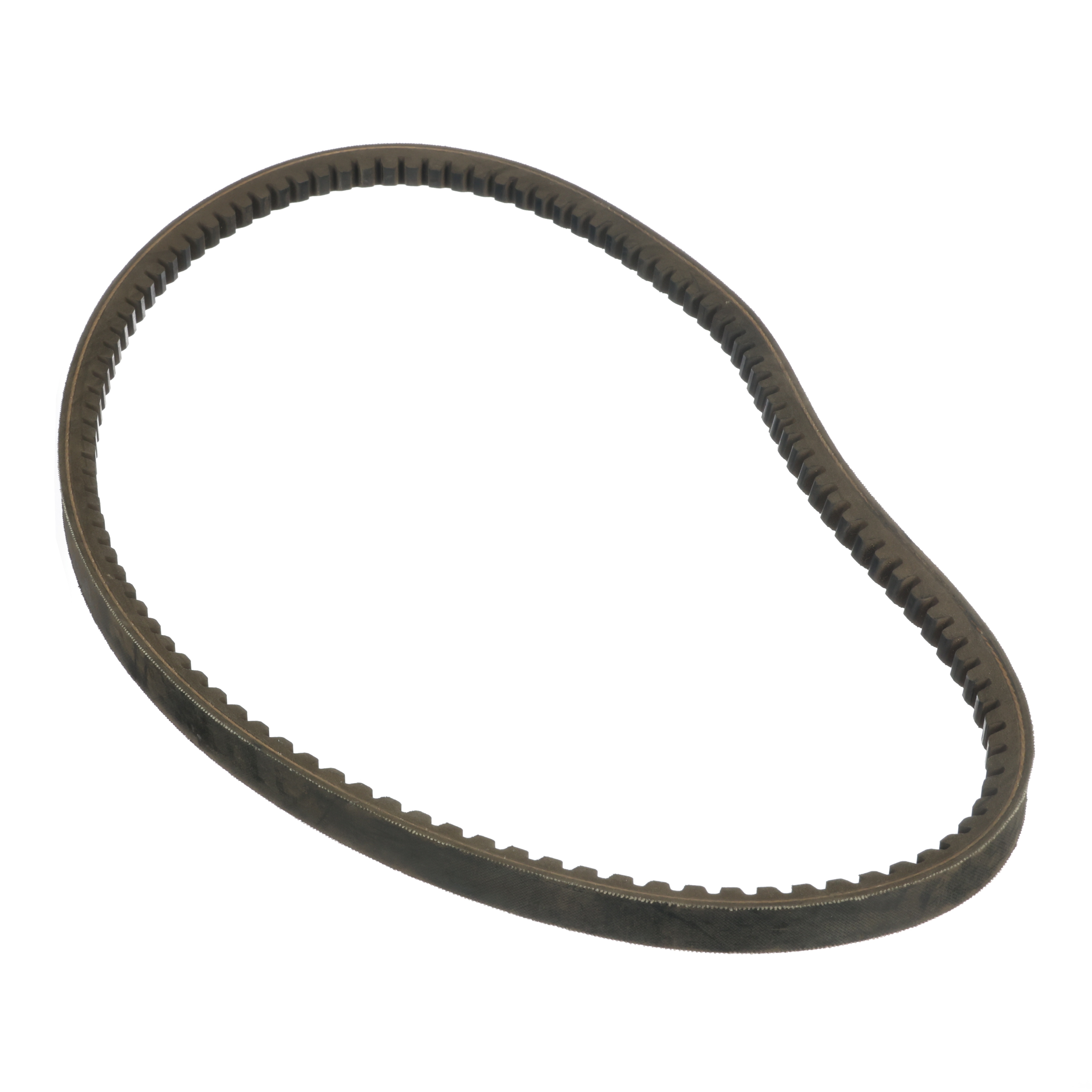 BELT/V-BX41