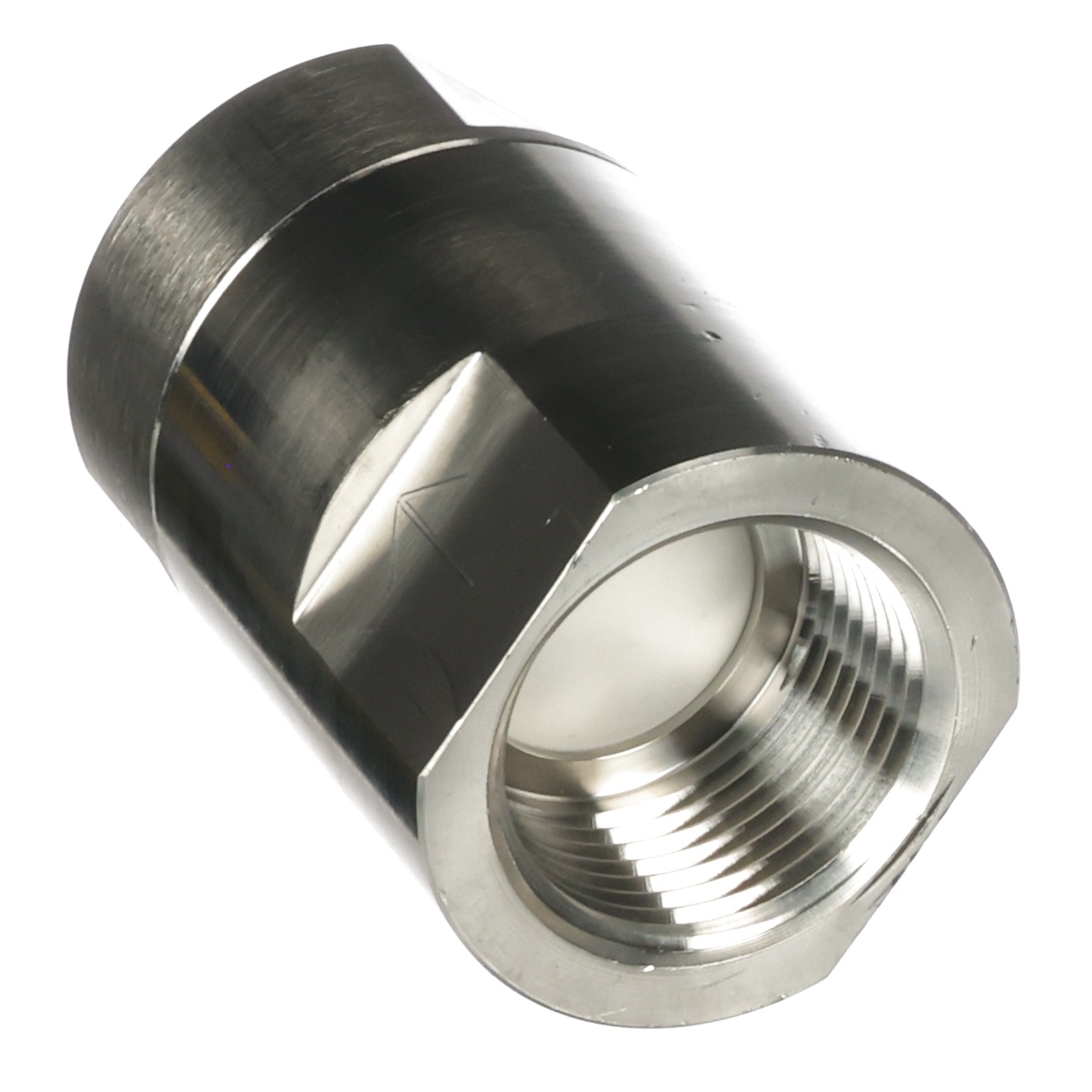 Valve/Check,1"Npt,Sst,Hp