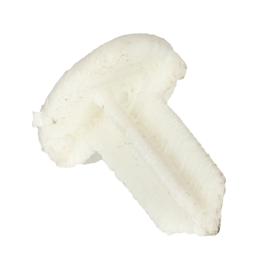 Plug/Drain,Motor,Pp-Plastic