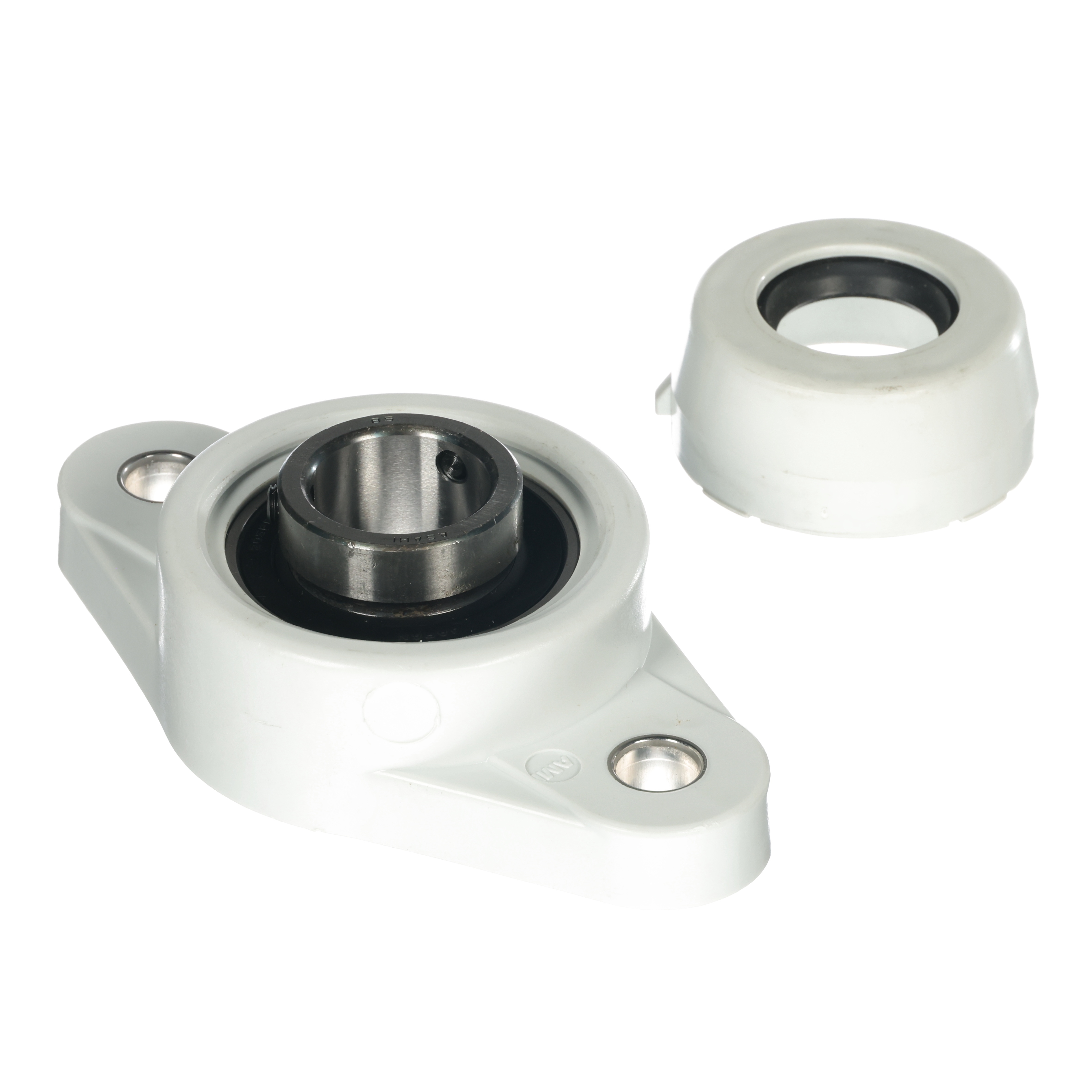 BEARING/FLANGE 2-BOLT,25MM
