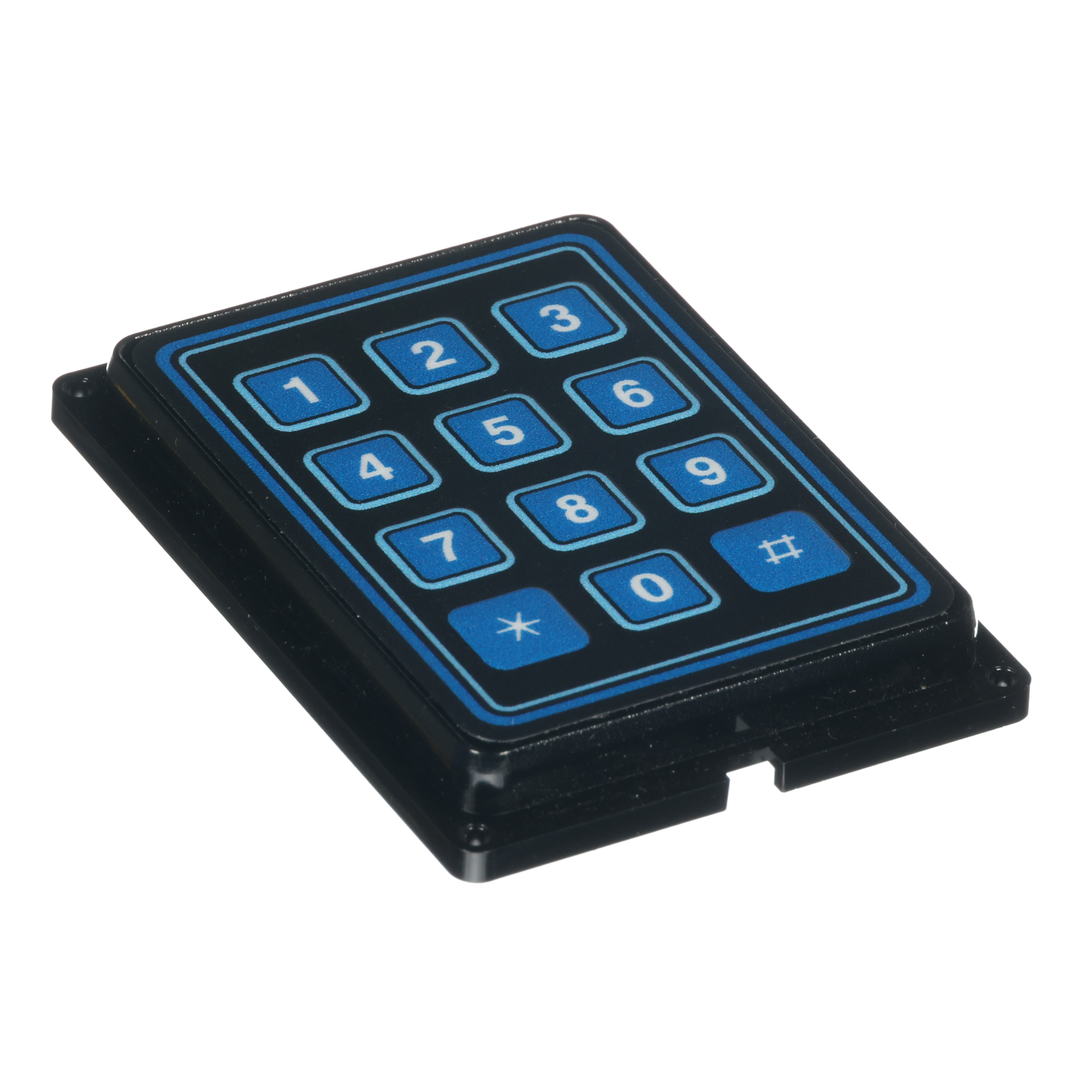 KEYPAD/LASERWASH CONTROLLER